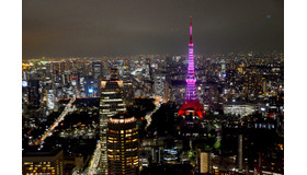 乳がん知識啓発キャンペーン「ピンクリボン」で、ライトアップされた東京タワー