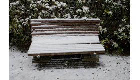 首都圏で積雪、学生の足を直撃…臨時休講で「詫び単位」や交通費要求（画像はイメージ）