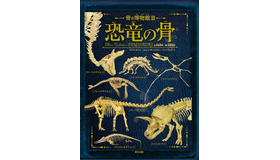 「骨の博物館」シリーズ第3弾「 恐竜の骨」