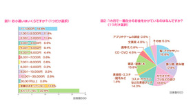 お小遣いの額について／1か月で一番自分のお金をかけるものについて