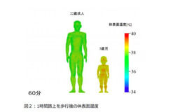 60分間路上を歩行後の体表面温度（成人男性と幼児）