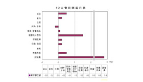 10大費目別前月比