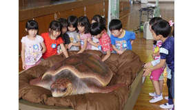 ウミガメ移動教室のようす