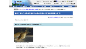 愛知県水産試験場・弥富金魚漁業協同組合 共催「金魚の学校」