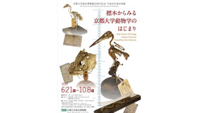 京都大学総合博物館 創立20周年記念 平成29年度企画展「標本からみる京都大学動物学のはじまり」
