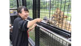 那須サファリパーク アクティビティバス「WILD RIDE」