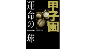 夏の甲子園100年の激闘をまとめた「甲子園 運命の一球」発売