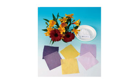 画像提供：中学生の理科 自由研究 チャレンジ編 改訂版（学研）