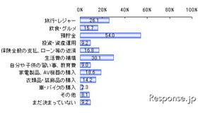 楽天リサーチ 冬のボーナスに関する調査 今年の冬のボーナスの用途複数選択