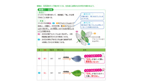 「中学入試 くらべてわかる できる子図鑑 理科 改訂版」（旺文社）