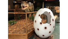 恐竜の卵の中に入ってSNS映えする写真を撮ることができる