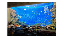 大水槽「無限の海」前のようす