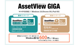 AssetView GIGA