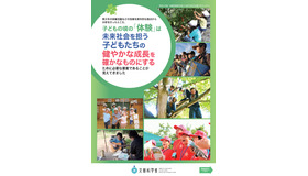 2020年度 青少年の体験活動に関する調査研究 報告（概要）