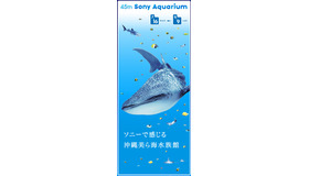 45th Sony Aquarium