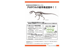 震災復興・国立科学博物館コラボミュージアム「アロサウルスがやってきた」