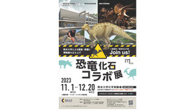 「恐竜化石コラボ展-熊本大学による調査・発掘と博物館の立ち上げ-」チラシ表