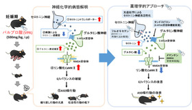 研究手法・研究成果