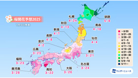 2025年「第一回桜開花予想」