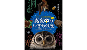 サンシャイン水族館 特別展「真夜中のいきもの展」