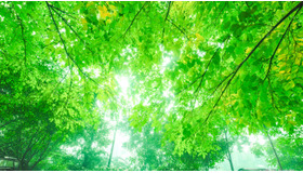 画像はイメージです