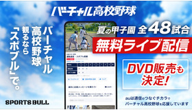 バーチャル高校野球