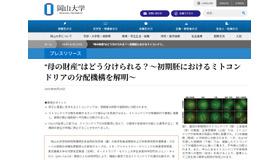 岡山大学「初期胚におけるミトコンドリアの分配機構を解明」