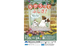 2025秋の企画展「ちがうってふしぎ！ ～絵本から考えるネコとイヌ～」