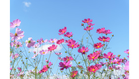 ※画像はイメージです