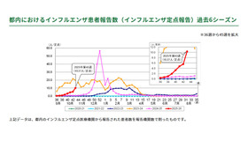 都内におけるインフルエンザ患者報告数（インフルエンザ定点報告）過去6シーズン