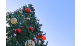 ※画像はイメージです