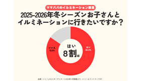 2025～2026年の冬シーズンに子供と家族でイルミネーションに行ってみたいか？