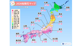 2026年桜開花マップ