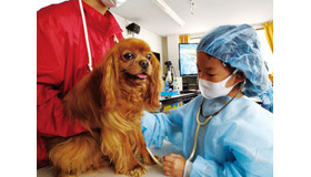 獣医さん体験スクール