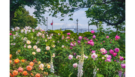 港の見える丘公園