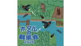 ホタルの観察会2026