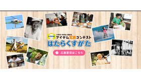 第21回アイデム写真コンテスト「はたらくすがた」