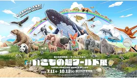 特別展「いきもの超ワールド展　国立科学博物館×ダーウィンが来た！」