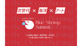 Blue-Shrimp Summit.