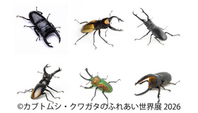 カブトムシ・クワガタのふれあい世界展 2026