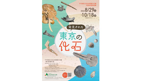 特別展「発見された東京の化石」
