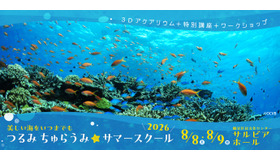 つるみ・ちゅらうみ サマースクール2026