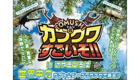 TOMUSHIのカブクワすごいぞ！！　in けやきひろば