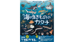 2026 夏の企画展 海の生きもののカタチ