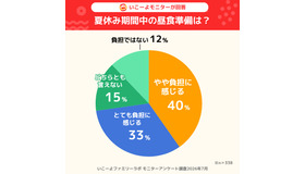 夏休みの昼食の準備、いこーよファミリーラボ調べ