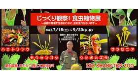 「じっくり観察！食虫植物展」
