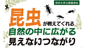 公開講演会「昆虫が教えてくれる 自然の中に広がる見えないつながり」