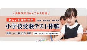小学校受験 適性テスト