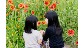 イメージ画像
