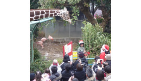 子どもたちに人気の野毛山動物園